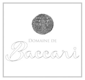 vin-baccari