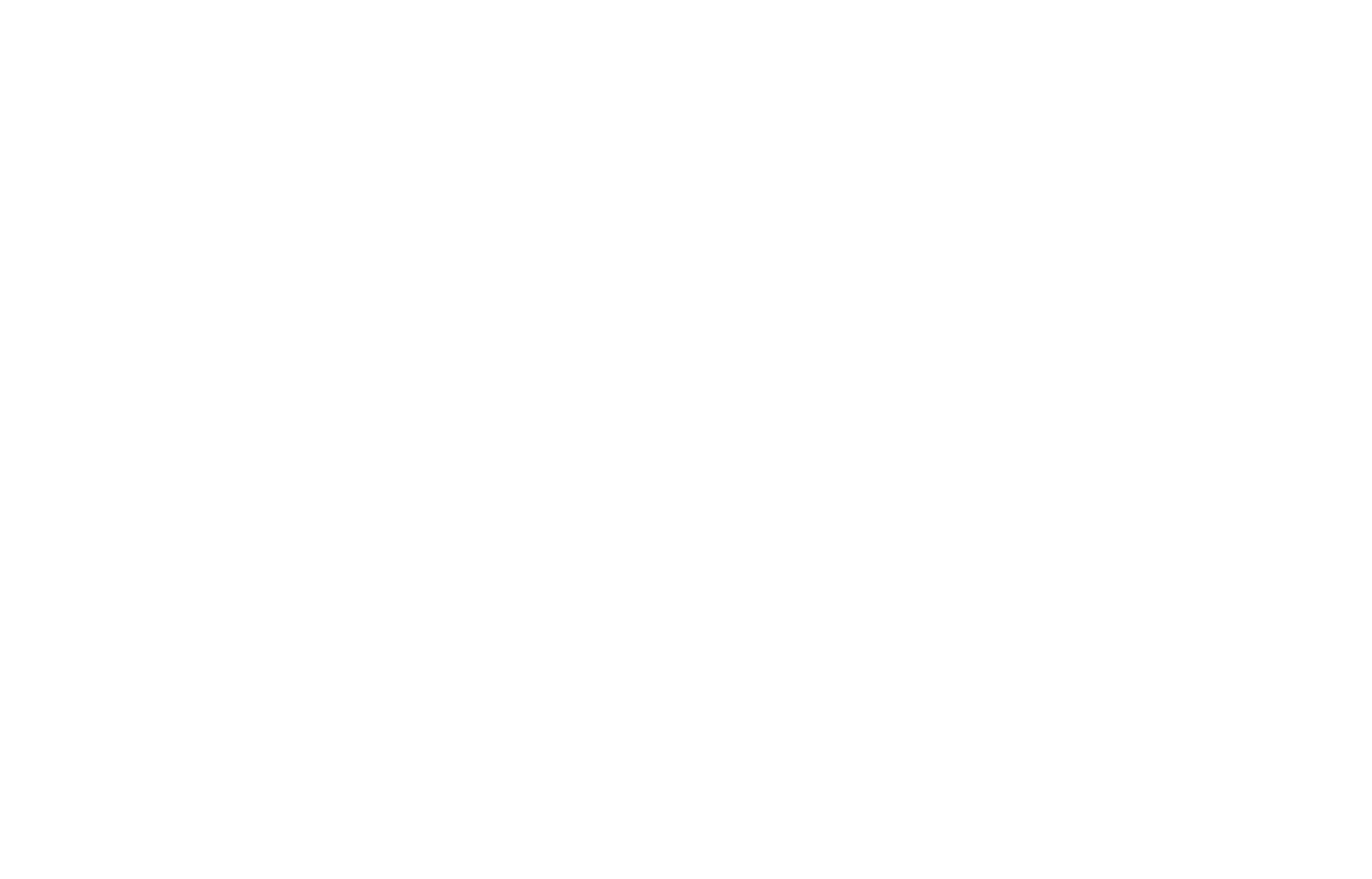 Logo Derenoncourt Distribution Blanc